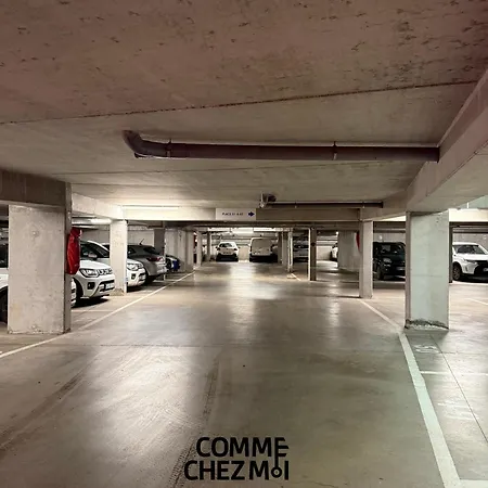 Le 313, Confortable Et Equipe, Garage Gratuit Et Privatif A Nancy