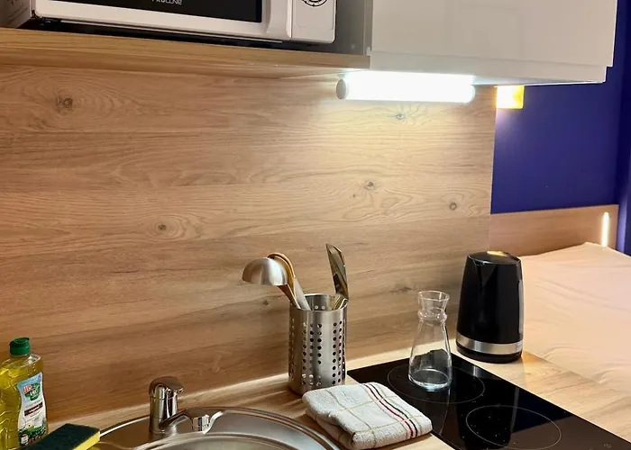 Appartement Le 313, Confortable Et équipé, Garage Gratuit Et Privatif à Nancy